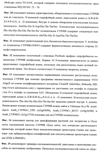 Растения, имеющие улучшенные характеристики роста, и способы их получения (патент 2463352)