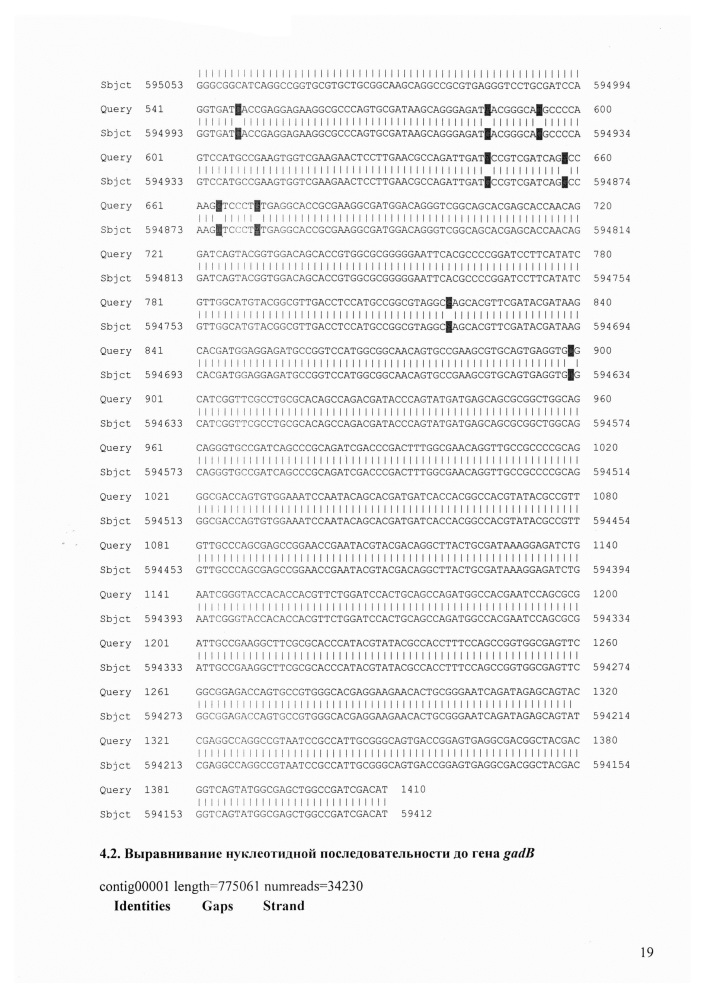 Штаммы bifidobacterium adolescentis 150 и bifidobacterium angulatum gt 102, синтезирующие гамма-аминомасляную кислоту (патент 2614110)