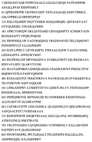 Лекарственное средство для лечения болезни альцгеймера и способ лечения болезни альцгеймера (патент 2536232)