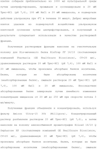 Способ получения монатина (патент 2505606)