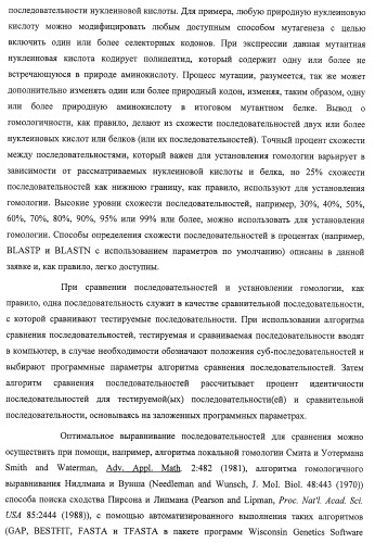 Система экспрессии компонентов ортогональной трансляции в эубактериальной клетке-хозяине (патент 2467069)