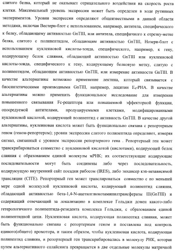 Конструкции слияния и их применение для получения антител с повышенными аффинностью связывания fc-рецептора и эффекторной функцией (патент 2407796)