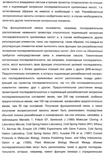 Способ повышения стойкости к стрессовым факторам в растениях (патент 2375452)