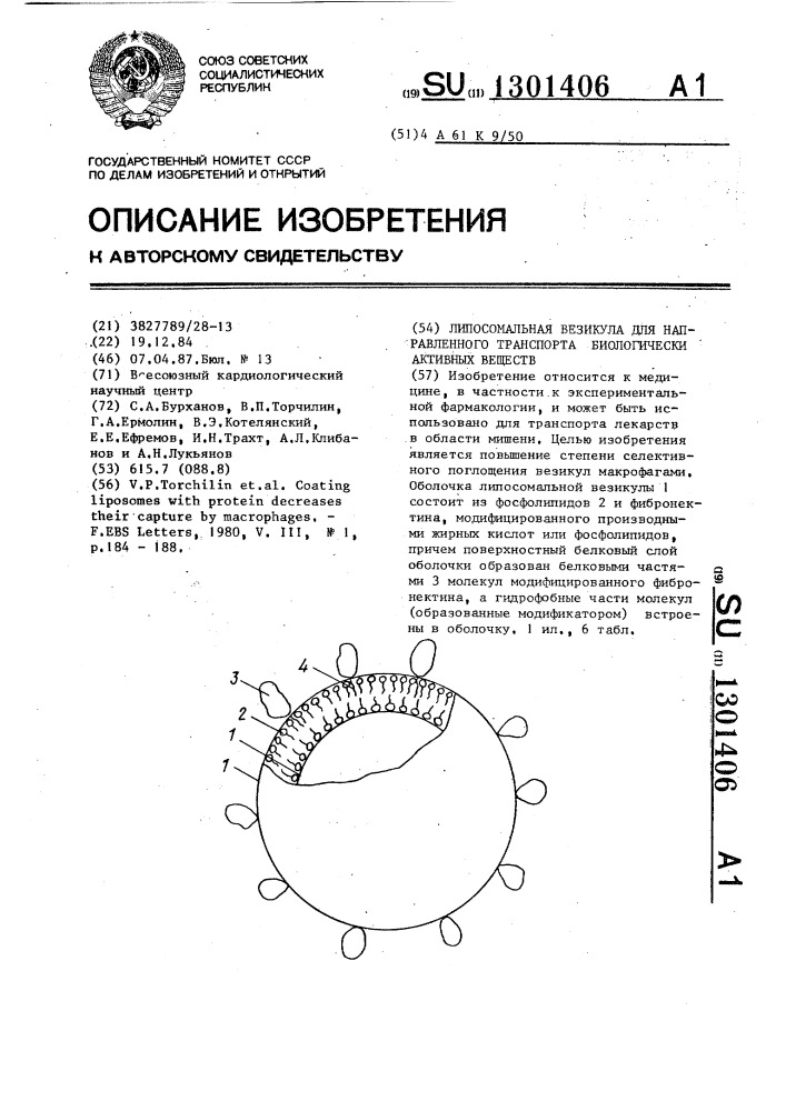 Липосомальная везикула для направленного транспорта биологически активных веществ (патент 1301406)