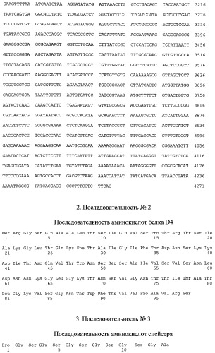 Рекомбинантная плазмида pd4spgbd, штамм escherichia coli - продуцент рекомбинантного белка d4-gbd, рекомбинантный белок d4-gbd и способ его получения, способ исследования связывания белка d4-gbd с антителами сывороток больных, способ получения специфических антител к белку d4-gbd (патент 2401305)