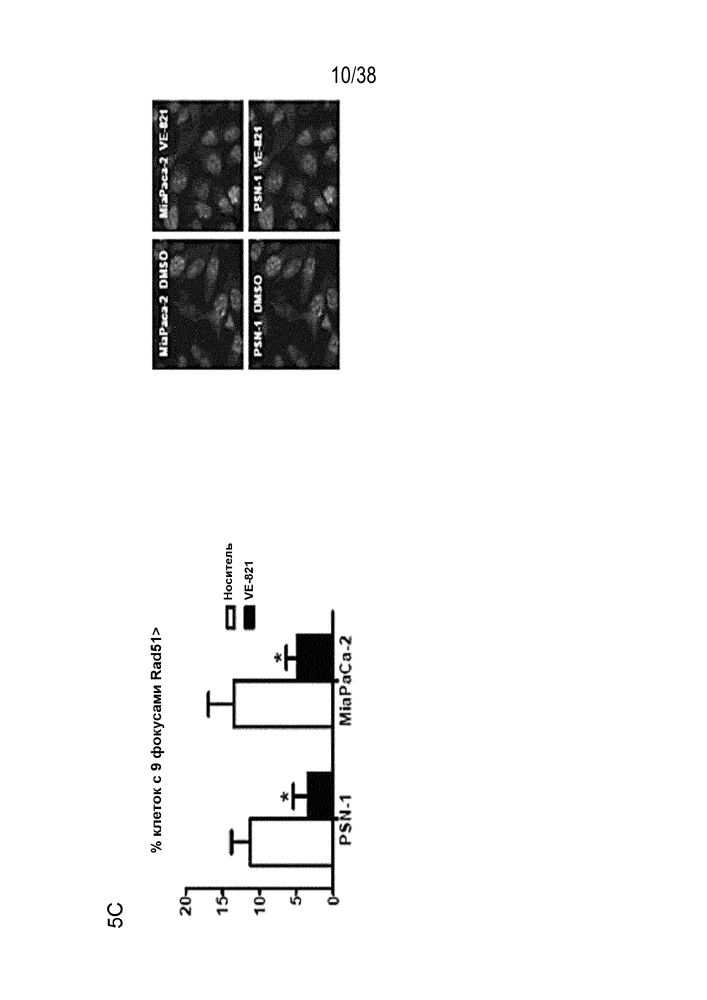 Лечение рака поджелудочной железы и немелкоклеточного рака легкого ингибиторами atr (патент 2648507)
