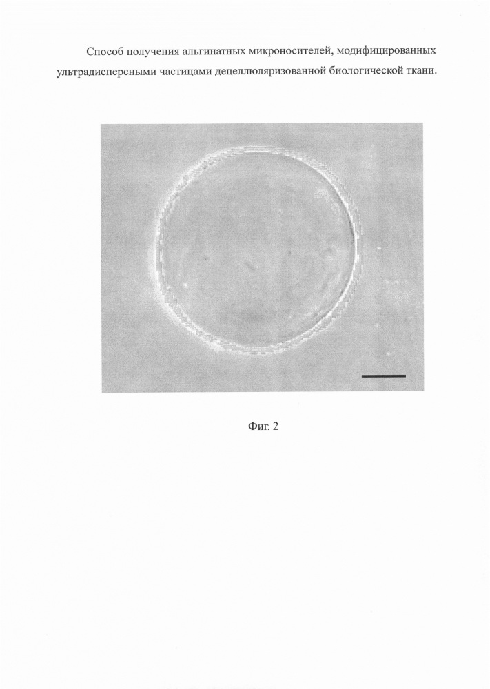 Способ получения модифицированных альгинатных микросфер (патент 2606843)