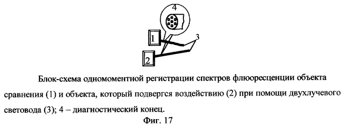 Способ люминесцентной диагностики и/или качественной оценки состояния биологического объекта и устройство для его осуществления (патент 2254372)