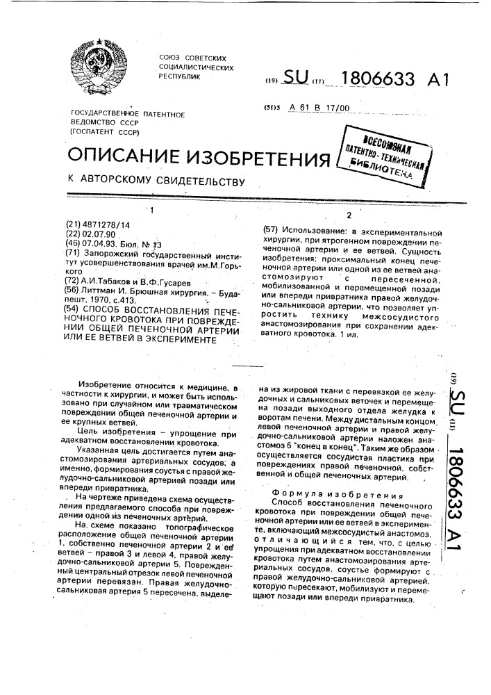Способ восстановления печеночного кровотока при повреждении общей печеночной артерии или ее ветвей в эксперименте (патент 1806633)