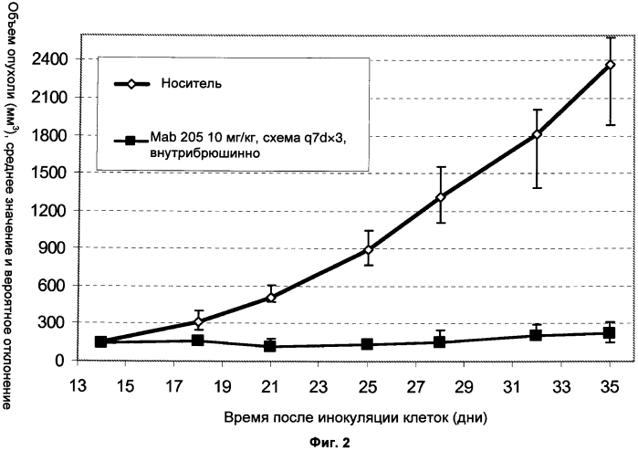 Антитела к her3 и их применения (патент 2560583)