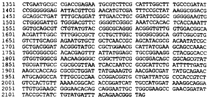 Антигены neisseria meningitidis (патент 2343159)