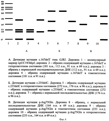 Способ детекции 17 мутаций генов gjb2 и gjb6 при наследственной несиндромальной глухоте (патент 2448163)