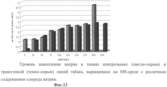 Использование гена мембранной пирофосфатазы бактерии rhodospirillum rubrum для изменения свойств растений (патент 2378379)