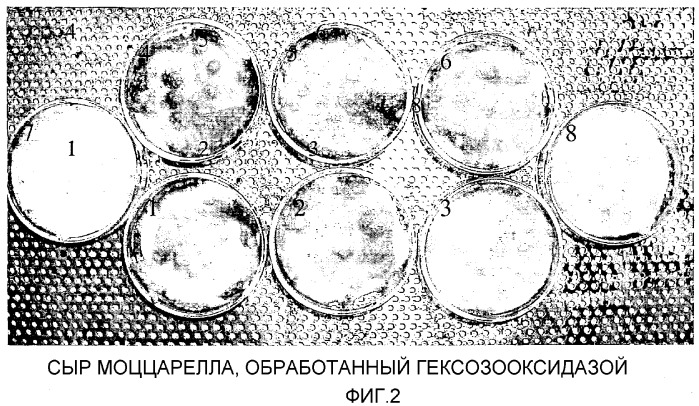 Способ предотвращения или уменьшения реакции майяра в пищевом продукте, применение фермента для этого и пищевой продукт, полученный этим способом (патент 2312569)