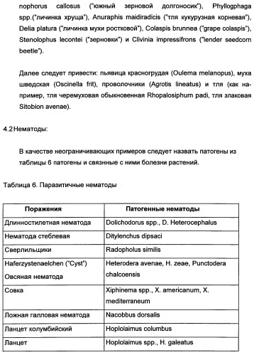 Новые последовательности нуклеиновых кислот и их применение в способах достижения устойчивости к патогенам в растениях (патент 2346985)