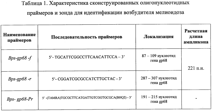 Набор олигонуклеотидных праймеров и флуоресцентно-меченого зонда для идентификации burkholderia pseudomallei (патент 2556810)