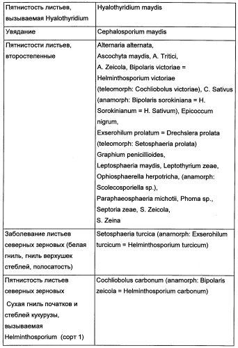 Новые последовательности нуклеиновых кислот и их применение в способах достижения устойчивости к патогенам в растениях (патент 2346985)