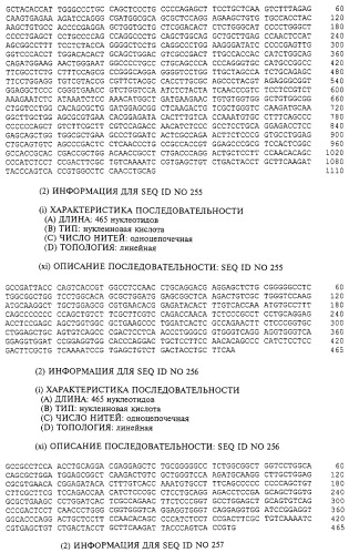 Гемопоэтический белок (варианты), последовательность днк, способ получения гемопоэтического белка, способ селективной экспансии кроветворных клеток, способ продуцирования дендритных клеток, способ стимуляции продуцирования кроветворных клеток у пациента, фармацевтическая композиция, способ лечения (патент 2245887)