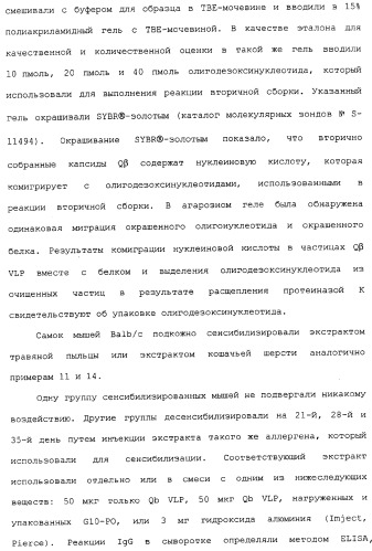 Композиции, содержащие cpg-олигонуклеотиды и вирусоподобные частицы, для применения в качестве адъювантов (патент 2322257)