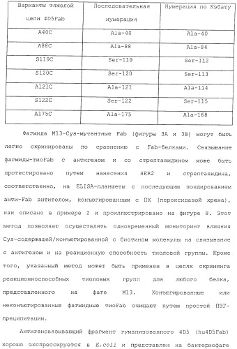 Антитела, сконструированные на основе цистеинов, и их конъюгаты (патент 2412947)