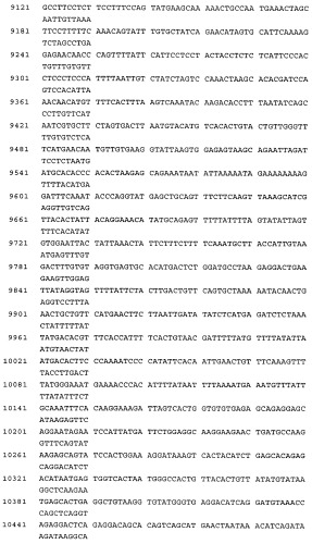 Связывающие молекулы, обладающие терапевтической активностью (патент 2386639)