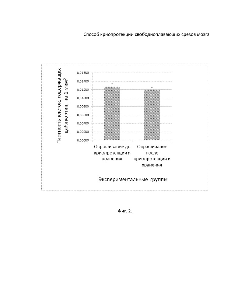 Способ криопротекции свободноплавающих срезов мозга для иммуногистохимического исследования (патент 2651704)