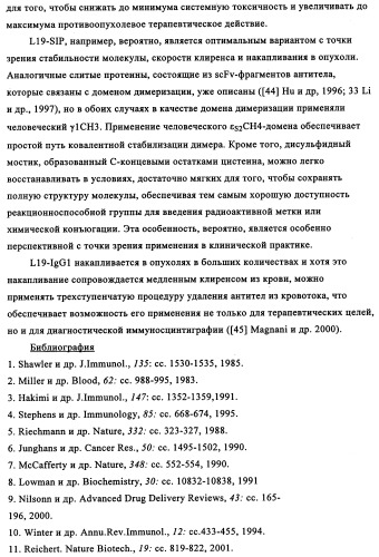 Избирательный направленный перенос в сосудистую сеть опухоли с использованием молекул антител (патент 2347787)