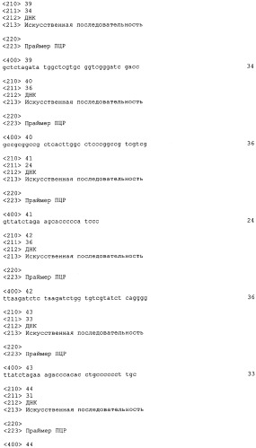 Слитые белки карциноэмбрионального антигена (патент 2380375)