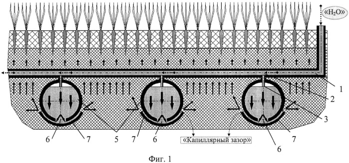 Способ капиллярного орошения из закрытого грунта овощных и зерновых культур (вариант русской логики) (патент 2532108)
