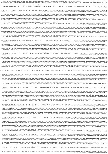 Применение s1p (патент 2362565)