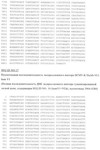 Терапевтические связывающие молекулы в виде химерного антитела (патент 2405790)