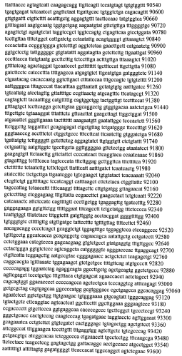 Модуляция экспрессии гентингтина (патент 2562861)