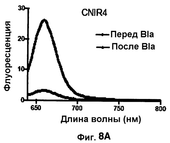 Применение бактериальной бета-лактамазы для диагностики in vitro и визуализации, диагностики и лечения in vivo (патент 2520661)