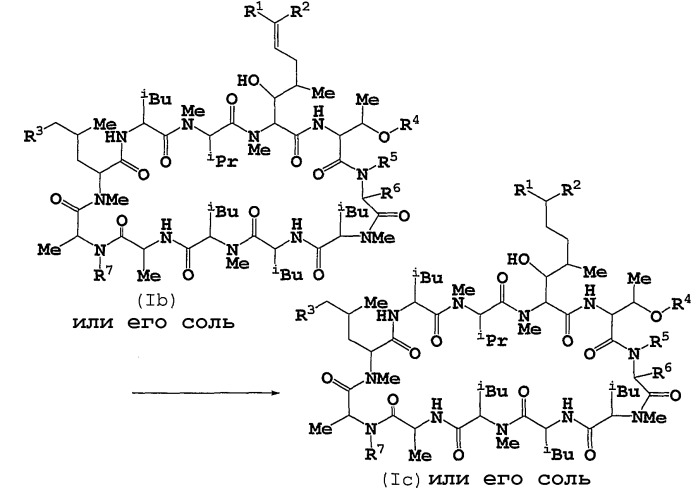 Новые циклические пептидные соединения (патент 2436795)