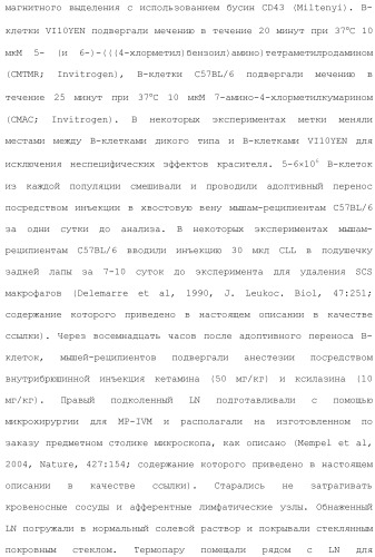 Включение адъюванта в иммунонанотерапевтические средства (патент 2496517)