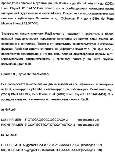 Новые последовательности нуклеиновых кислот и их применение в способах достижения устойчивости к патогенам в растениях (патент 2346985)