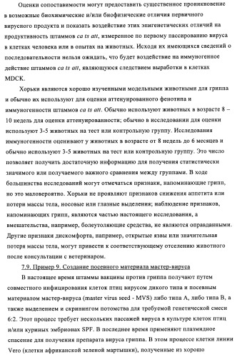 Способы и композиции для экспрессии антисмысловой вирусной рнк в клетках собаки (патент 2457250)