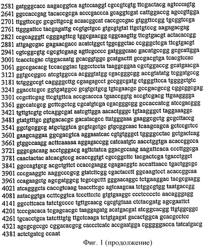 Бета-галактозидаза с трансгалактозилирующей активностью (патент 2435856)