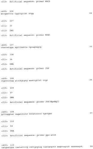 Бактерия, принадлежащая к роду pantoea, - продуцент l-аспартата или метаболита, являющегося производным l-аспартата, и способ получения l-аспартата или метаболита, являющегося производным l-аспартата (патент 2411289)