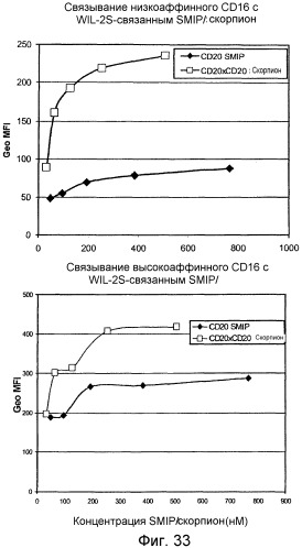 Одноцепочечные мультивалентные связывающие белки с эффекторной функцией (патент 2487888)