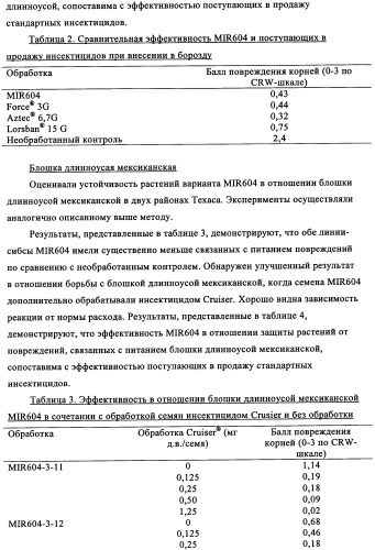 Вариант кукурузы mir604 (патент 2351122)