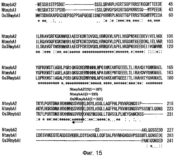 Растительные клетки и организмы растений с модифицированным клеточным ростом, развитием и дифференцировкой (патент 2349642)