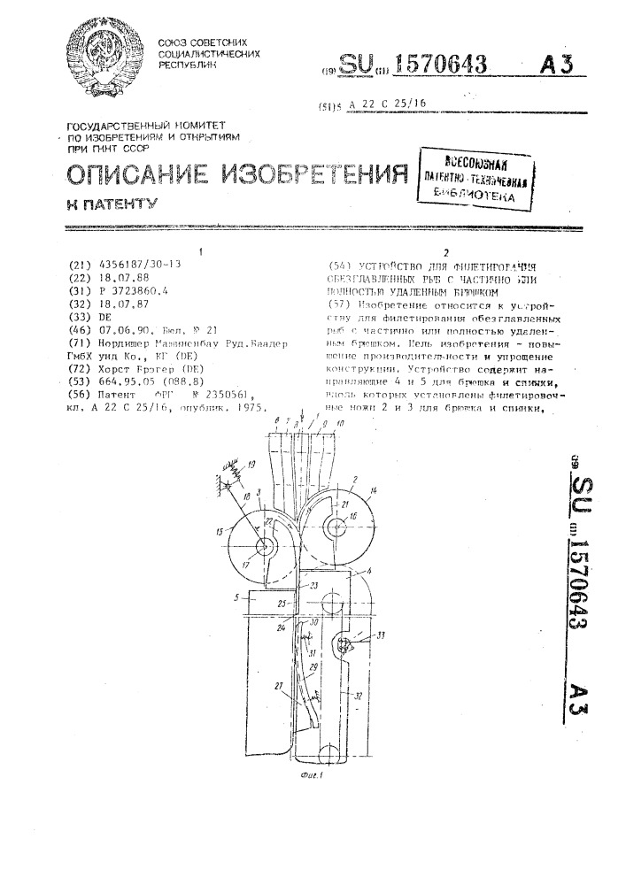 Устройство для филетирования обезглавленных рыб с частично или полностью удаленным брюшком (патент 1570643)