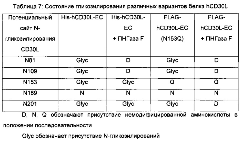 Белки, связывающие антиген - лиганд cd30 человека (патент 2650800)