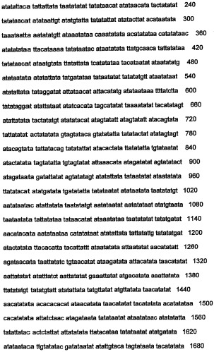 Днк, повышающая продуцирование белка, и ее применение (патент 2375450)