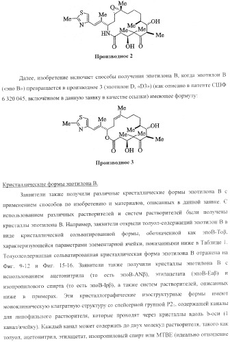 Способы получения, выделения и очистки эпотилона b и рентгеноструктурные кристаллические структуры эпотилона в (патент 2368661)