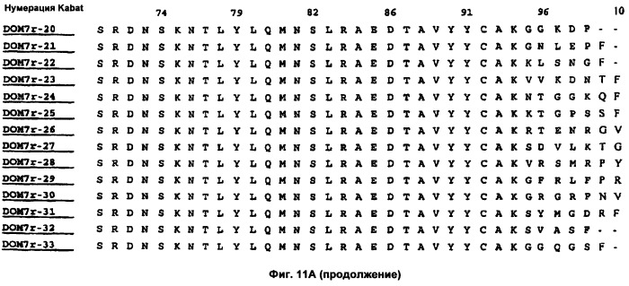 Слитые конструкции лекарственного средства и конъюгаты (патент 2428431)