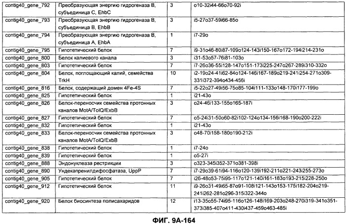 Вакцины и компоненты вакцин для подавления микробных клеток (патент 2528854)