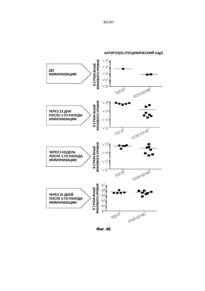 Не являющиеся человеком животные с модифицированными последовательностями тяжелых цепей иммуноглобулинов (патент 2618886)