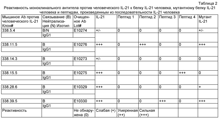 Моноклональные антитела против il-21 человека (патент 2504552)